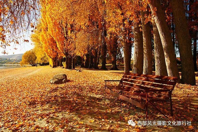 辽宁:聚青年人才 奏振兴乐章